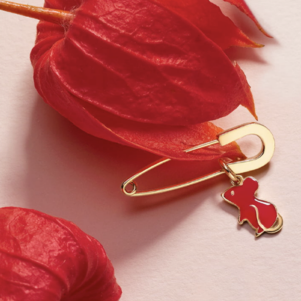 ANNO DEL TOPO, NUOVO CHARM DODO