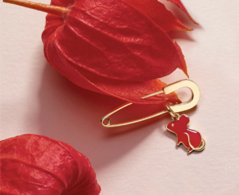 ANNO DEL TOPO, NUOVO CHARM DODO